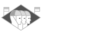 Surf Life Saving New Zealand logo