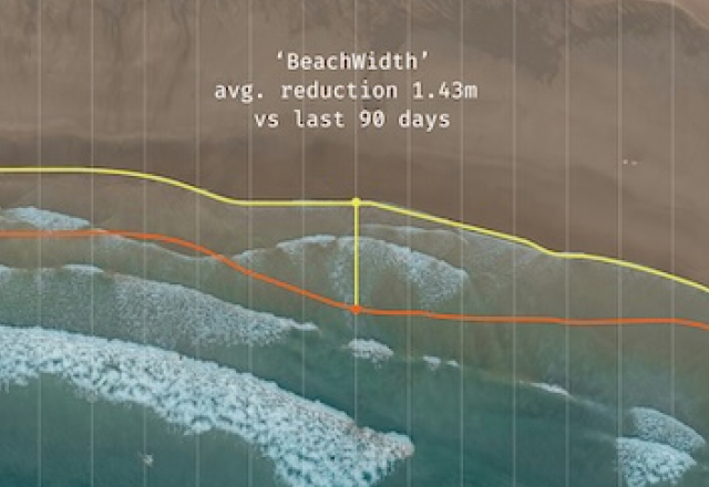 High Frequency Shoreline Surveys